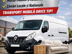 Transport diverse, mutari + instalatie frig