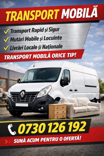 Transport diverse, mutari + instalatie frig.